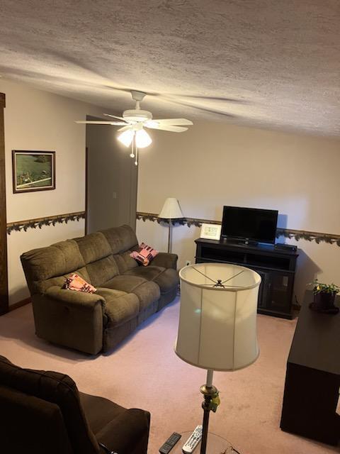 6620 Potter Road Bear Lake, MI 49614 - Photo 2 of 18 m living room 2