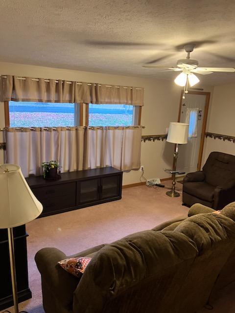 6620 Potter Road Bear Lake, MI 49614 - Photo 3 of 18 m living