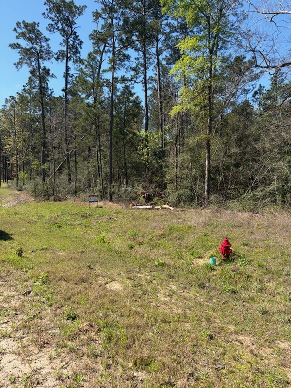 15633 Ridge Rock Road Willis, TX 77378 - Photo 1 of 2 a fire hydrant in the middle of a field