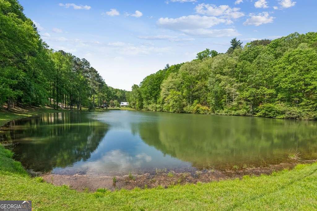 245 Timberwalk Drive, Unit 16 Ellijay, GA 30540 - Photo 49 of 56 a view of a lake with a yard and a large tree