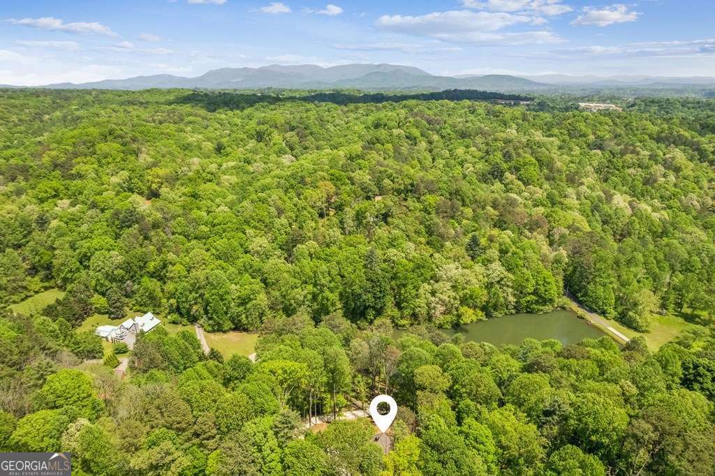 245 Timberwalk Drive, Unit 16 Ellijay, GA 30540 - Photo 5 of 56 a view of a big yard with lots of bushes