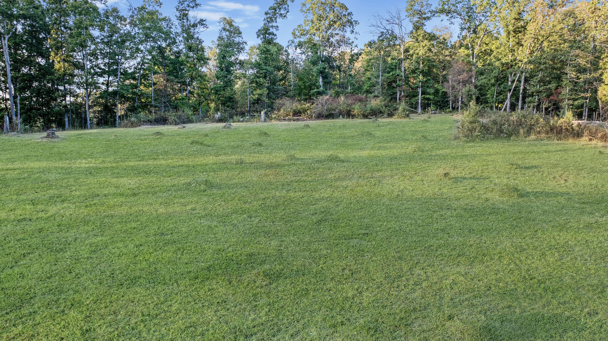 445 Pruett Road Dickson, TN 37055 - Photo 7 of 12 In the process of editing greener grass, some stumps were removed.
