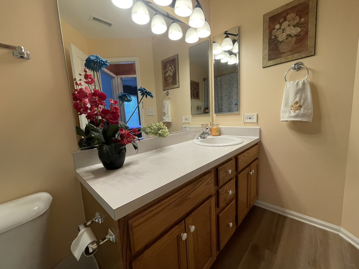 2043 Peach Tree Lane Algonquin, IL 60102 - Photo 16 of 19 a bathroom with a sink a vanity and a mirror