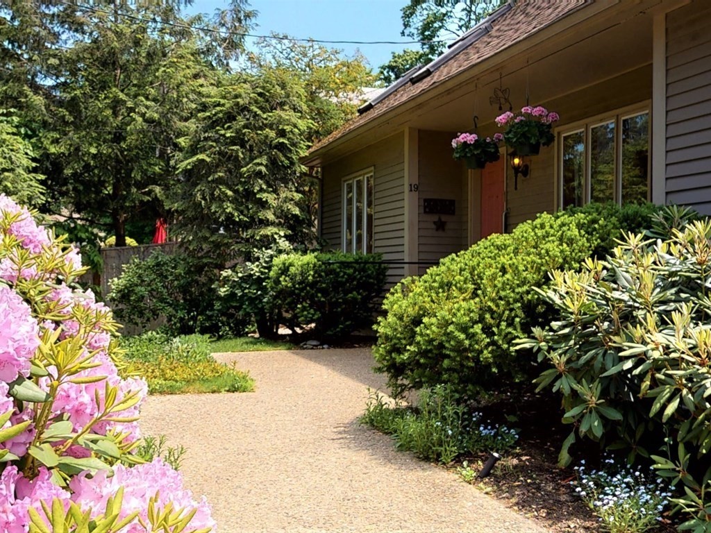 19 Lambert Road Belmont, MA 02478 - Photo 3 of 42 a couple of flower in front of flowers