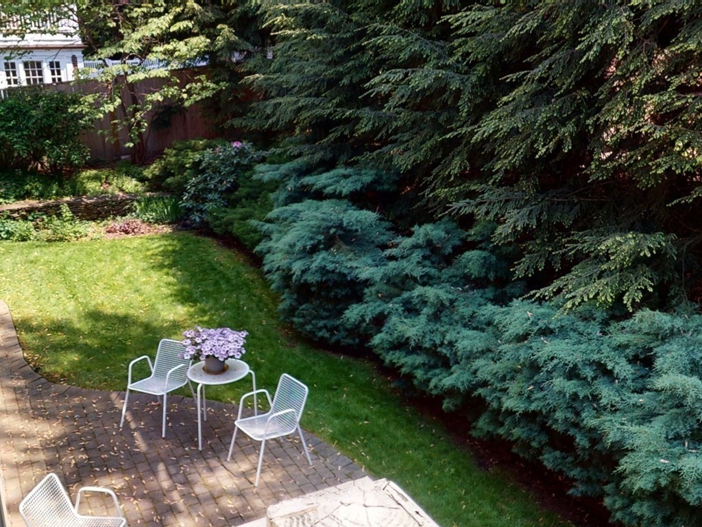 19 Lambert Road Belmont, MA 02478 - Photo 36 of 42 a wooden bench sitting in the middle of a garden