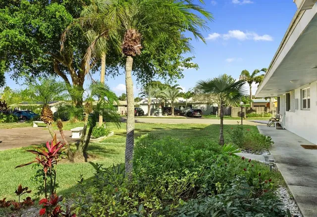 a view of a park with tree s