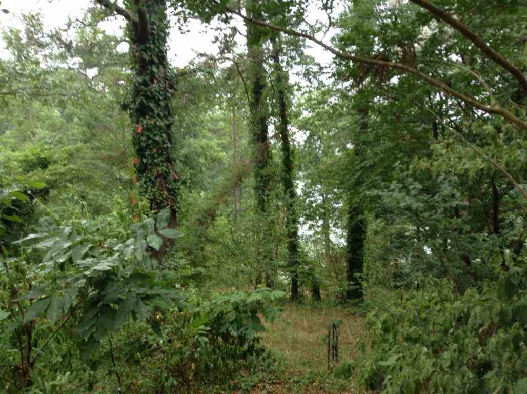 410 Cann Road Anderson, SC 29625 - Photo 1 of 7 Gallery Image 1