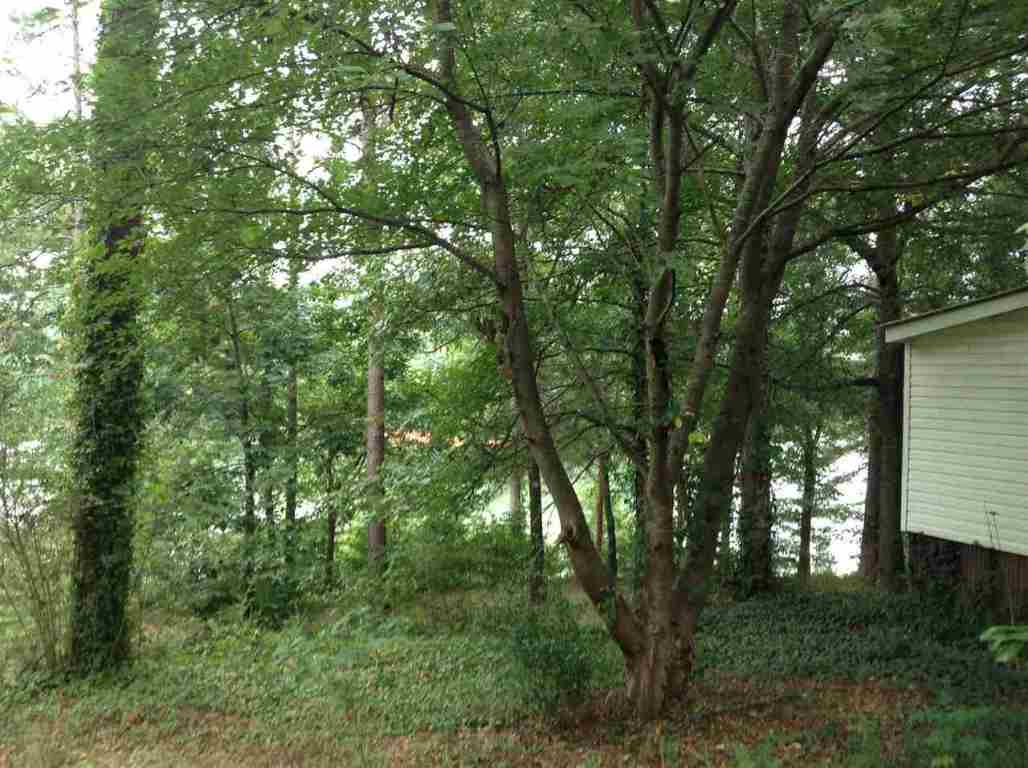 410 Cann Road Anderson, SC 29625 - Photo 7 of 7 Gallery Image 7
