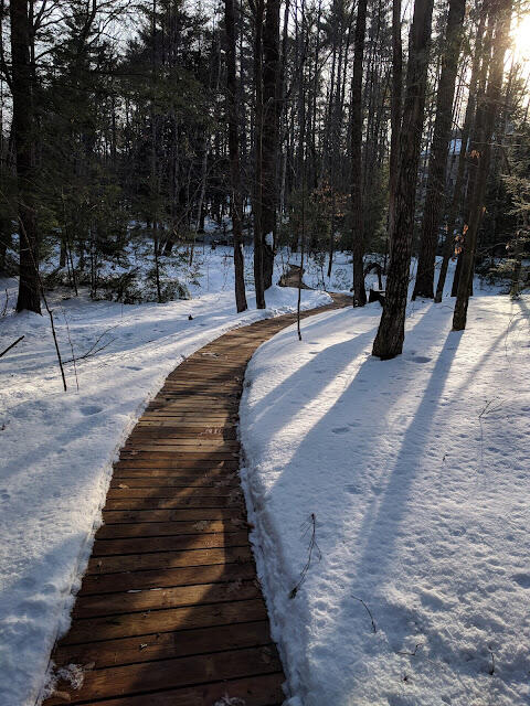 197 Old Country Way Limerick, ME 04048 - Photo 15 of 45 IMG_20180120_145452