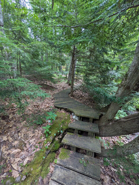 197 Old Country Way Limerick, ME 04048 - Photo 17 of 45 PXL_20250708_170302262