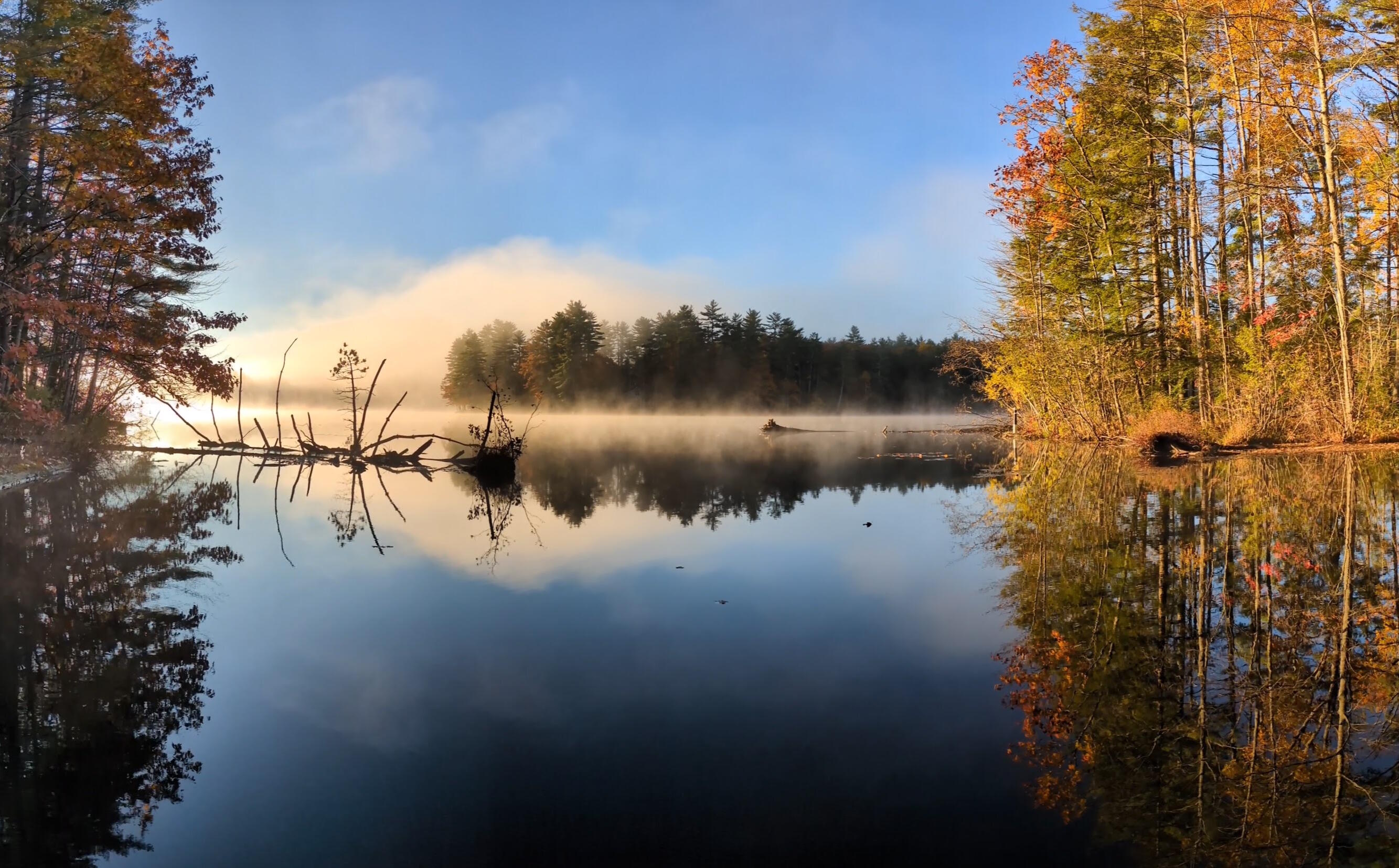 197 Old Country Way Limerick, ME 04048 - Photo 2 of 45 moneyshot2