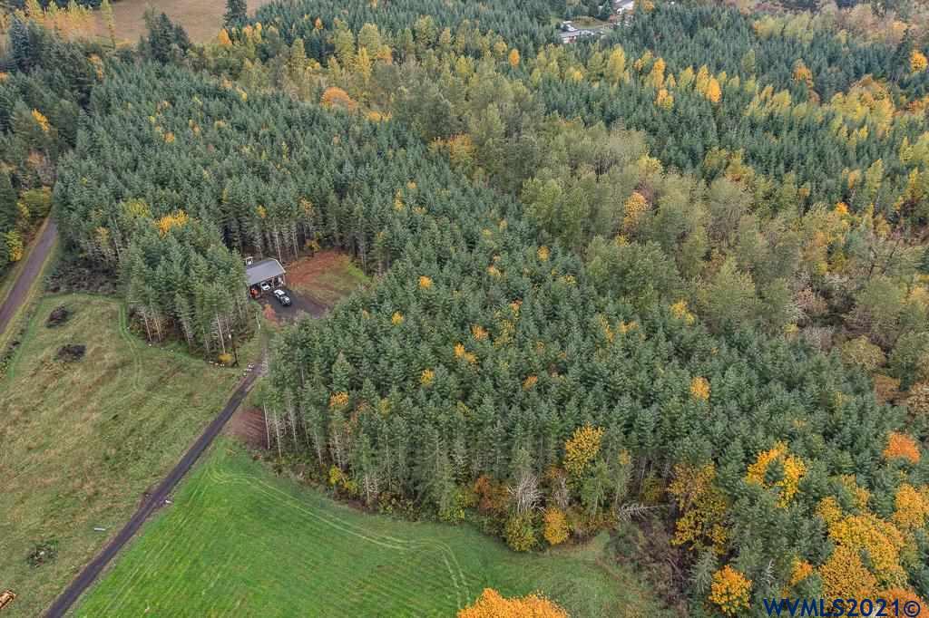 Meridian (ta 392239) Road Lebanon, OR 97355 - Photo 10 of 32