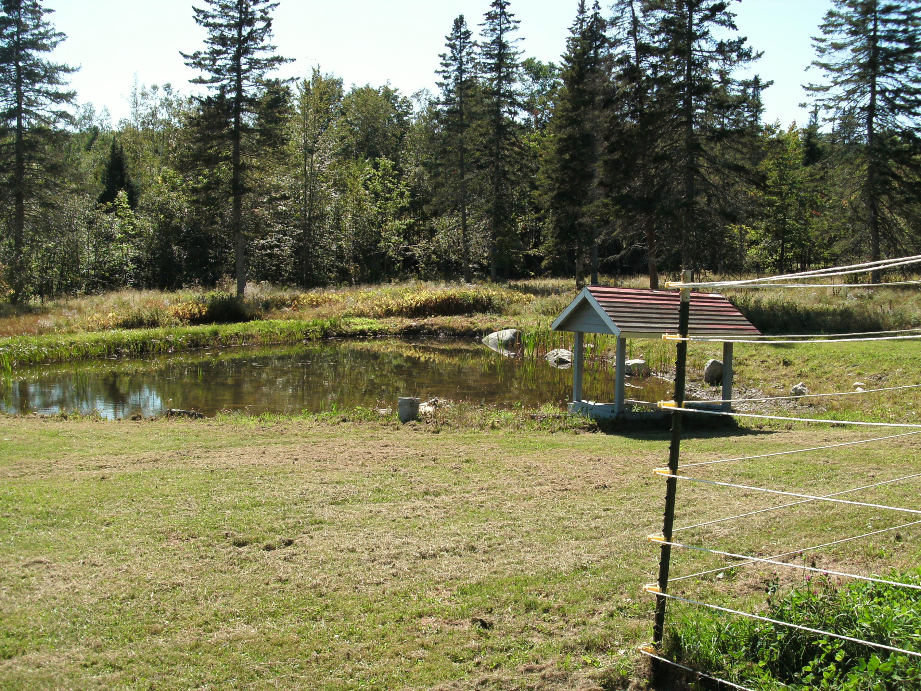 210 Eustis Ridge Road Eustis, ME 04936 - Photo 26 of 43 GEDC0133