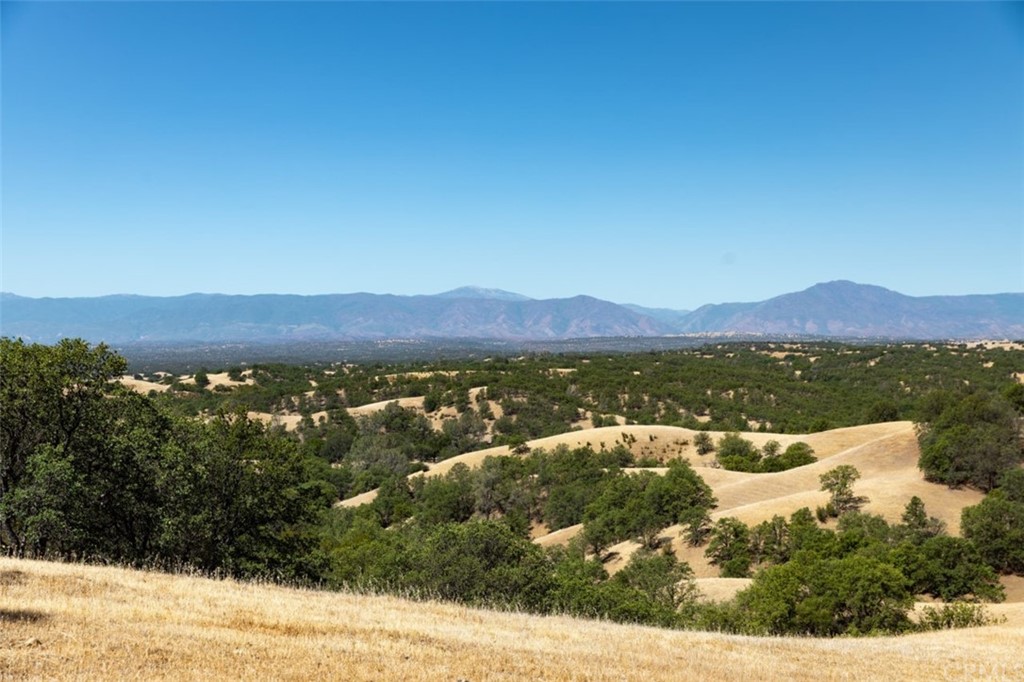 0 Reeds Creek Road Red Bluff, CA 96080 - Photo 20 of 22