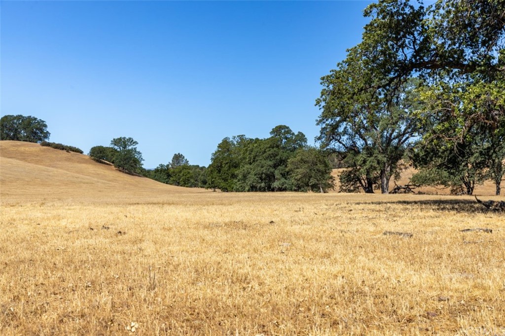 0 Reeds Creek Road Red Bluff, CA 96080 - Photo 8 of 22