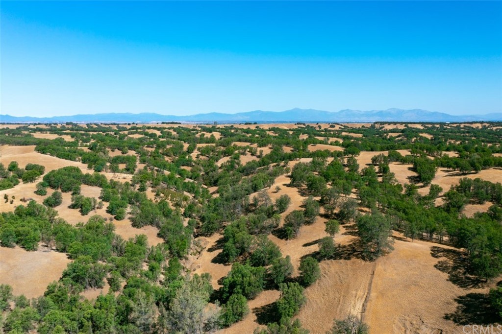 0 Reeds Creek Road Red Bluff, CA 96080 - Photo 9 of 22