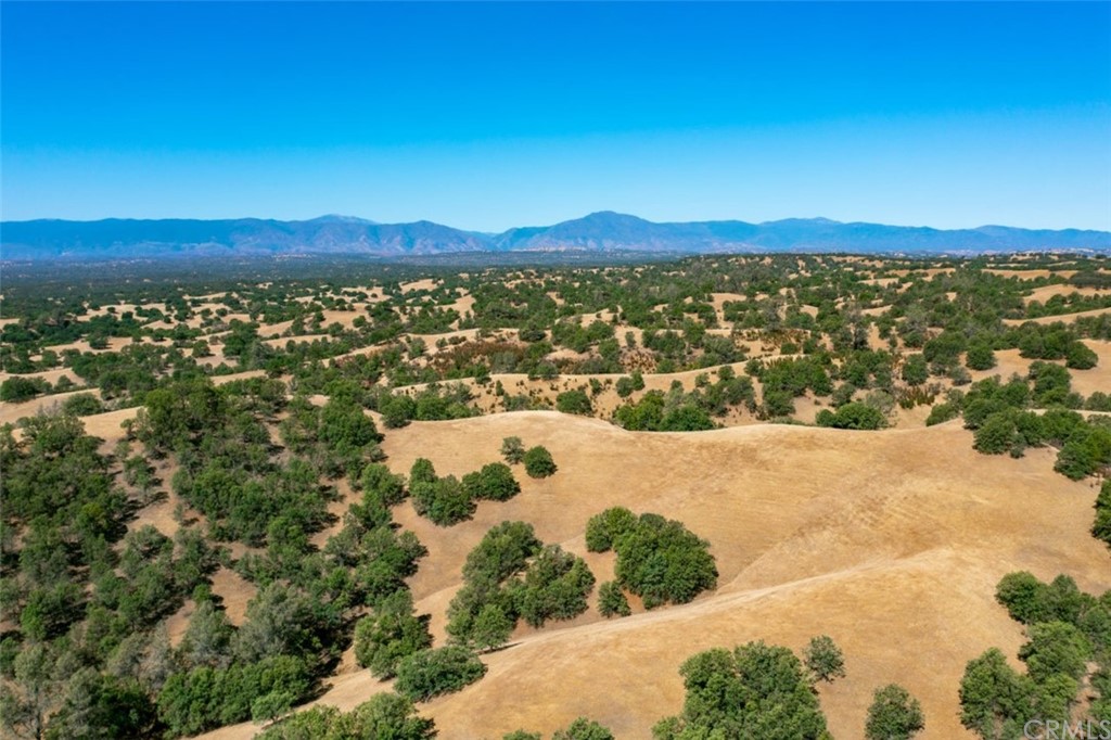 0 Reeds Creek Road Red Bluff, CA 96080 - Photo 10 of 22