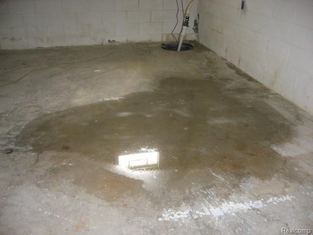 5525 Lyons Road Attica, MI 48412 - Photo 19 of 19 basement (3).jpg