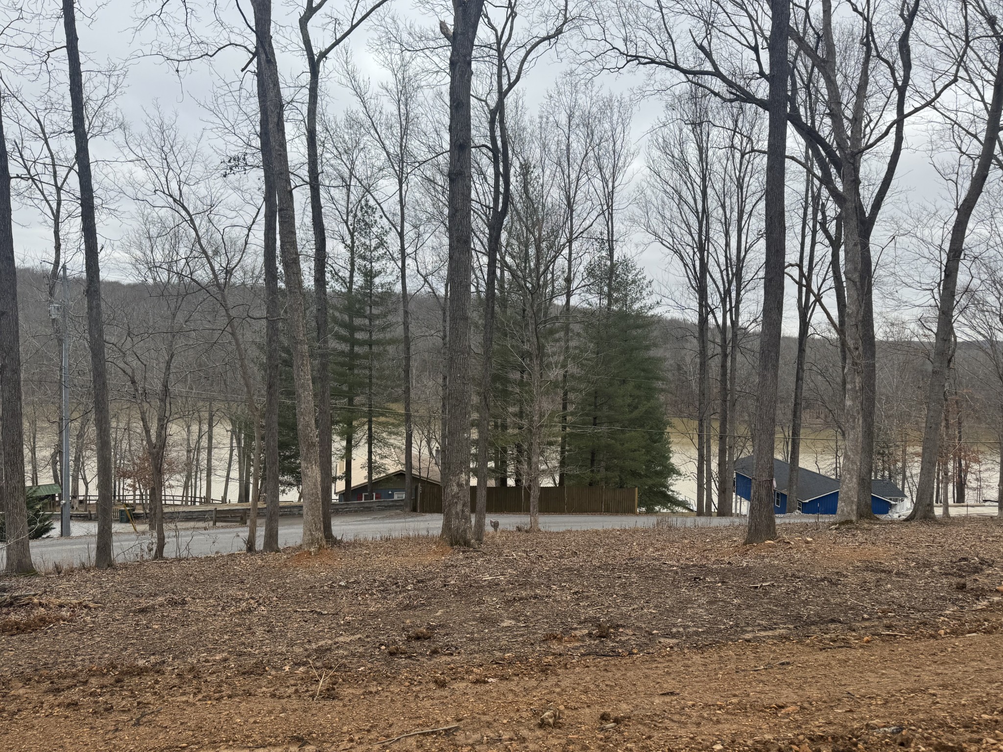 559 Hickman Shores Road Dover, TN 37058 - Photo 4 of 11 Gallery Image 4