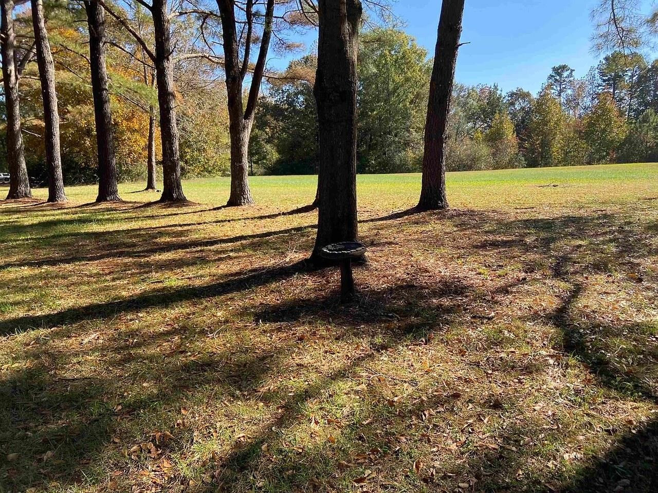 610 Old Finger Road Henderson, TN 38340 - Photo 23 of 24 a view of outdoor space with trees