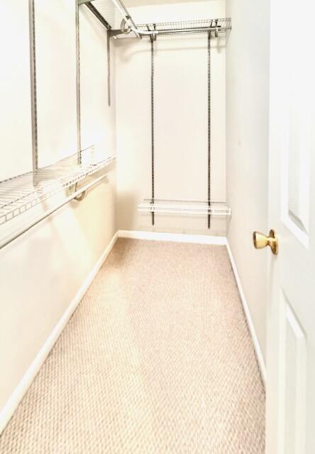 428 Doane Way Wando, SC 29492 - Photo 20 of 35 14 Walk-in Closet