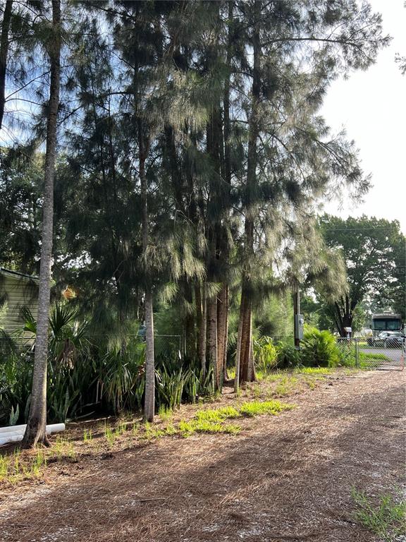 14633 Williams Lane Hudson, FL 34667 - Photo 14 of 26 a view of road with trees