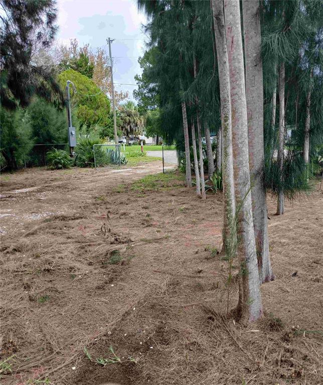 14633 Williams Lane Hudson, FL 34667 - Photo 17 of 26 a view of a yard with plants and trees