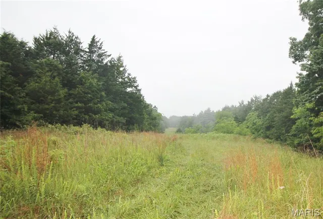 $4,000,000 | 16292 Maries Road 303, Vienna, MO 65582