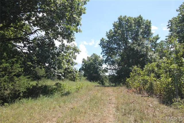 $4,000,000 | 16292 Maries Road 303, Vienna, MO 65582