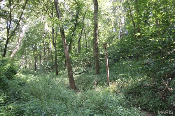 $3,595,000 | 16292 Maries Road 303, Vienna, MO 65582