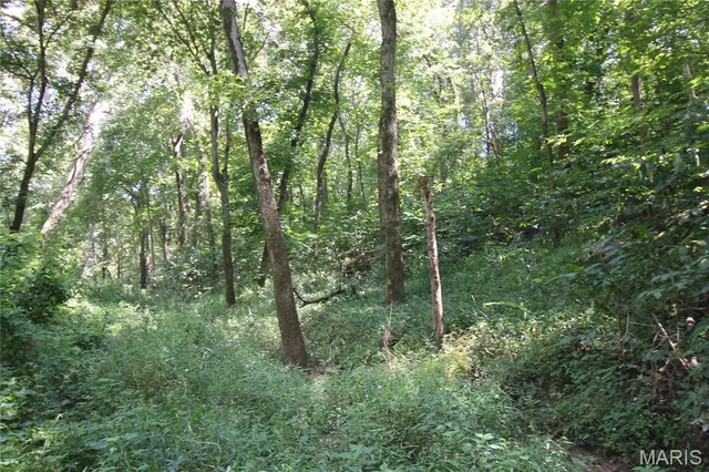 $4,000,000 | 16292 Maries Road 303, Vienna, MO 65582