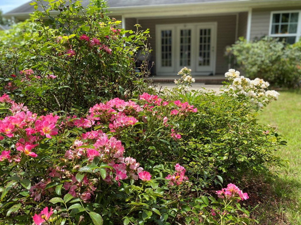 707 Keyes Drive Grovetown, GA 30813 - Photo 18 of 20 Gallery Image 18