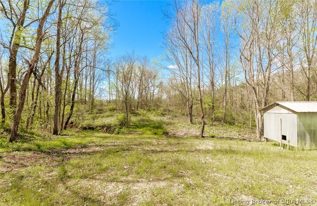 15801 Fry Road Otisco, IN 47163 - Photo 7 of 84
