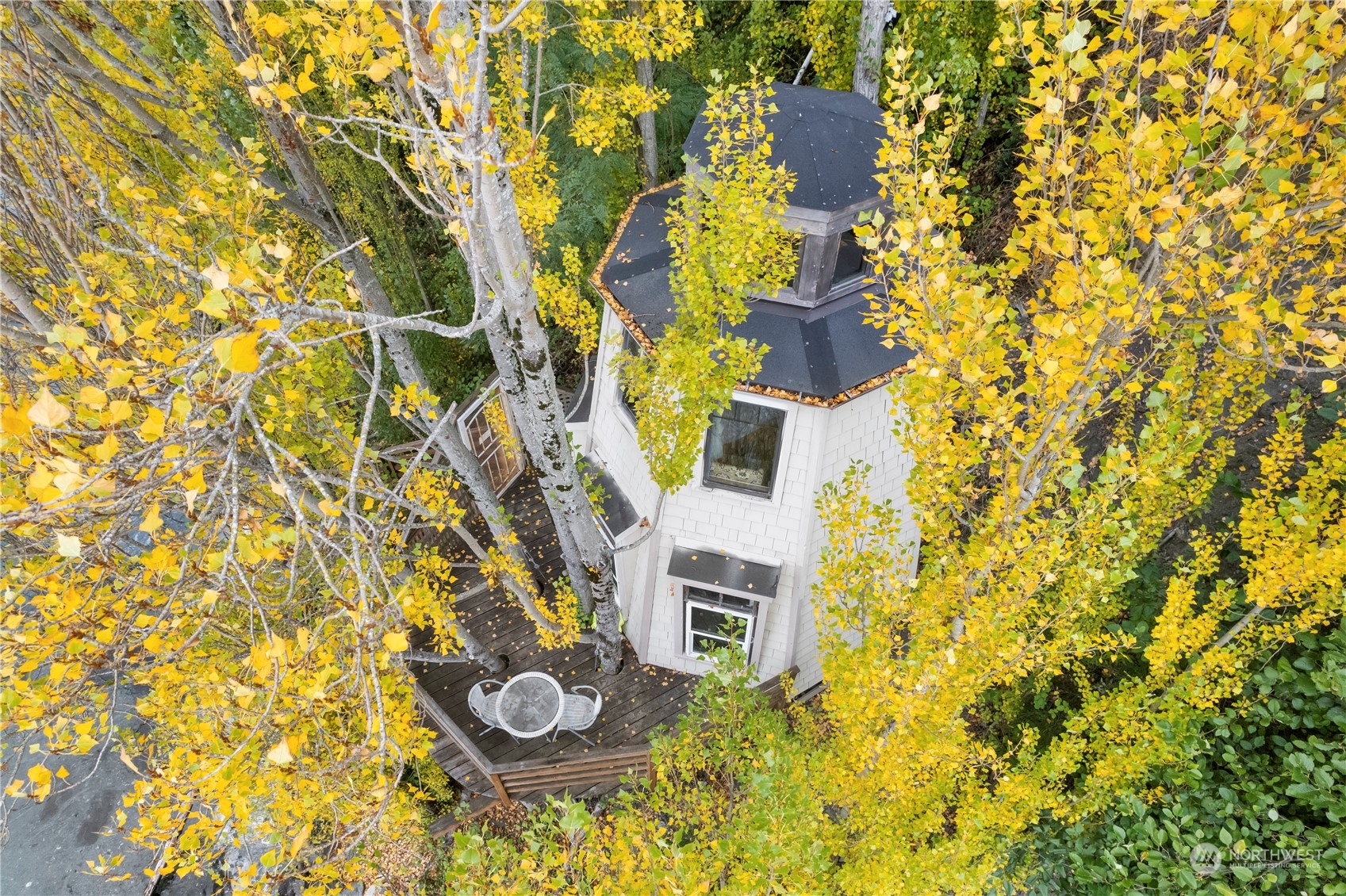 1705 Perkins Lane West Seattle, WA 98199 - Photo 4 of 28