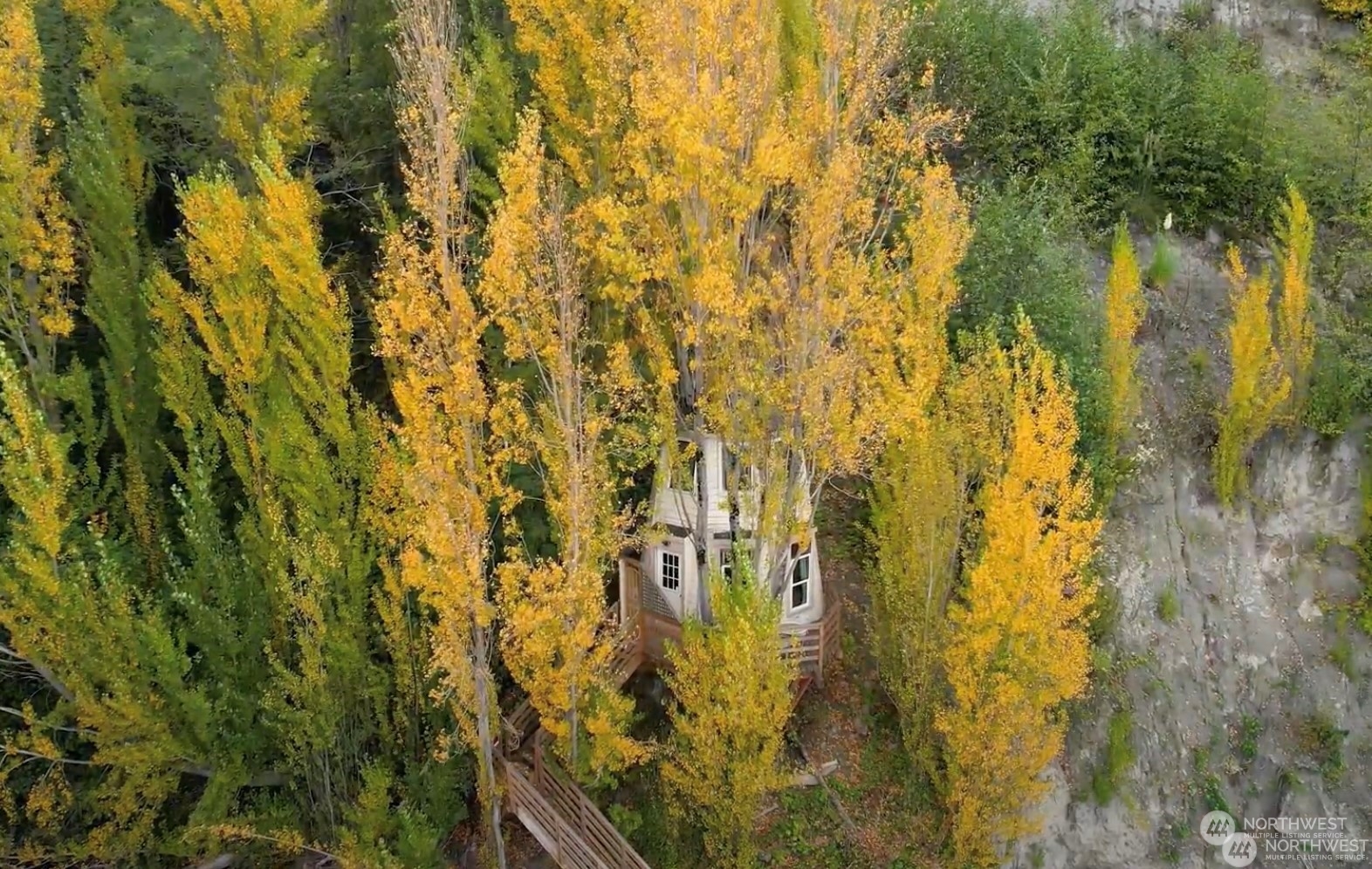 1705 Perkins Lane West Seattle, WA 98199 - Photo 7 of 28