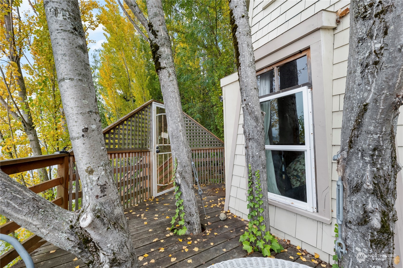 1705 Perkins Lane West Seattle, WA 98199 - Photo 10 of 28