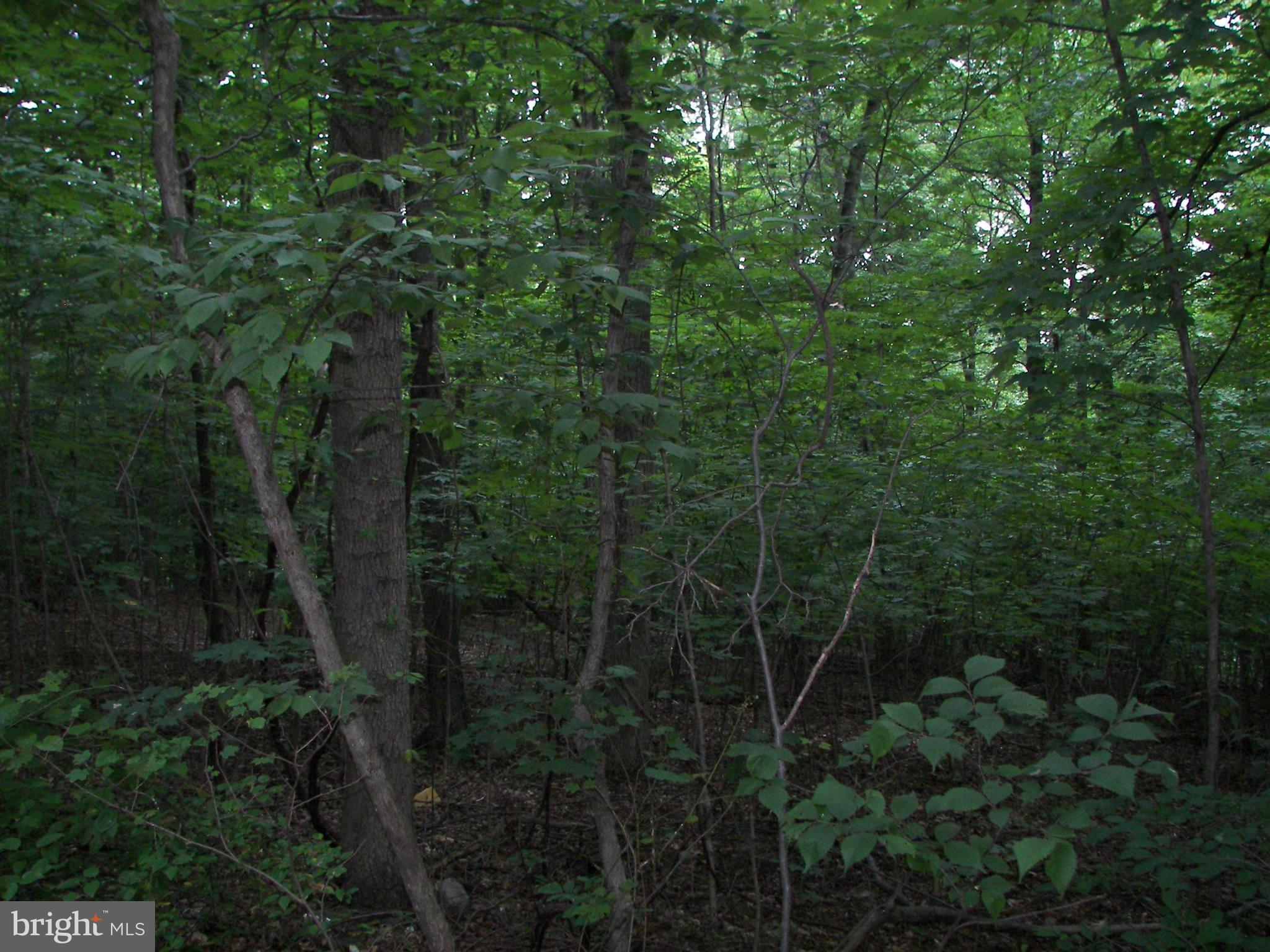 9-10 Off Rt Berkeley Springs Berkeley Springs, WV 25411 - Photo 3 of 6 Exterior (General)