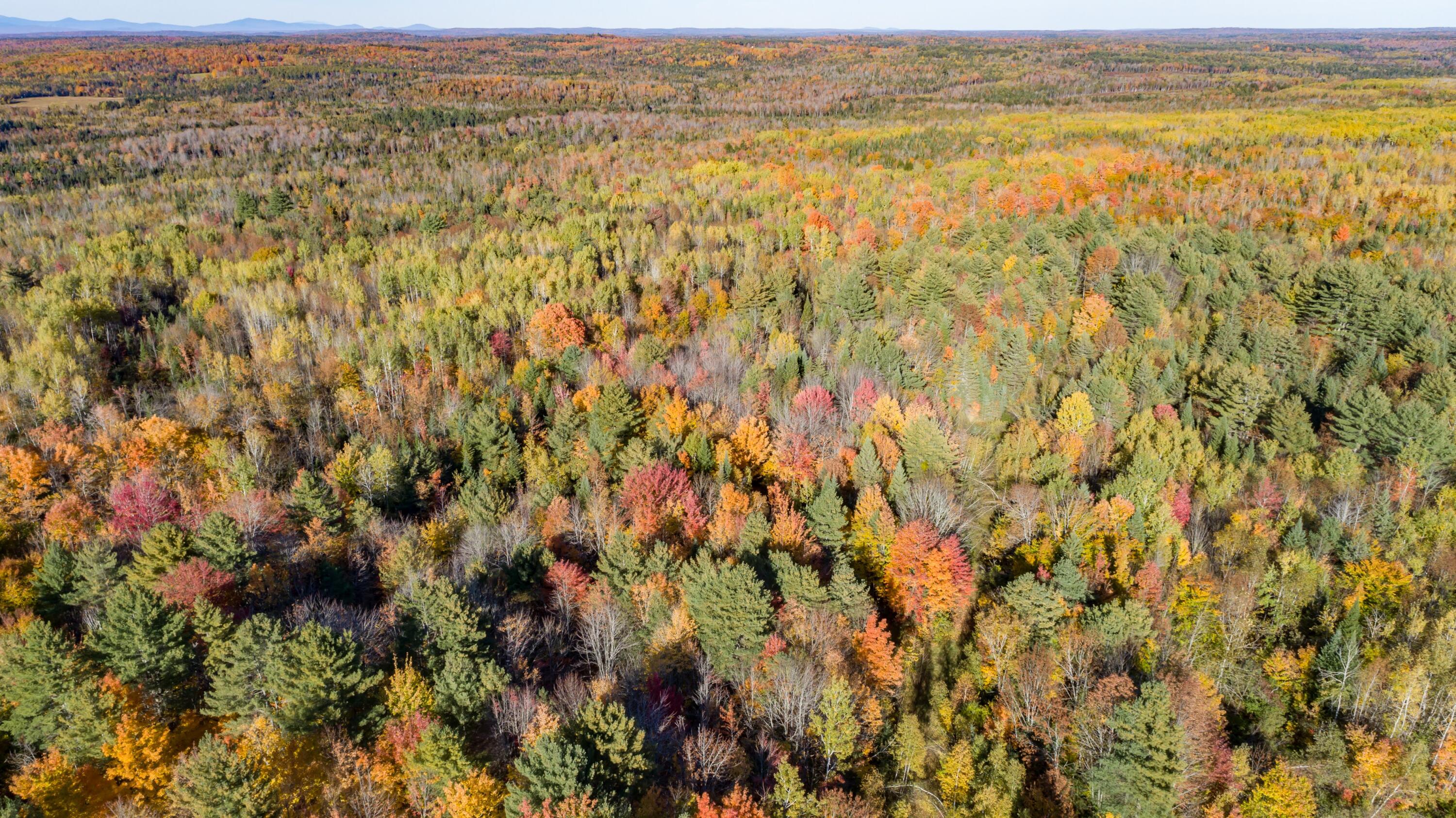 Lot 13 Lot Road Dexter, ME 04930 - Photo 9 of 9 DJI_0111