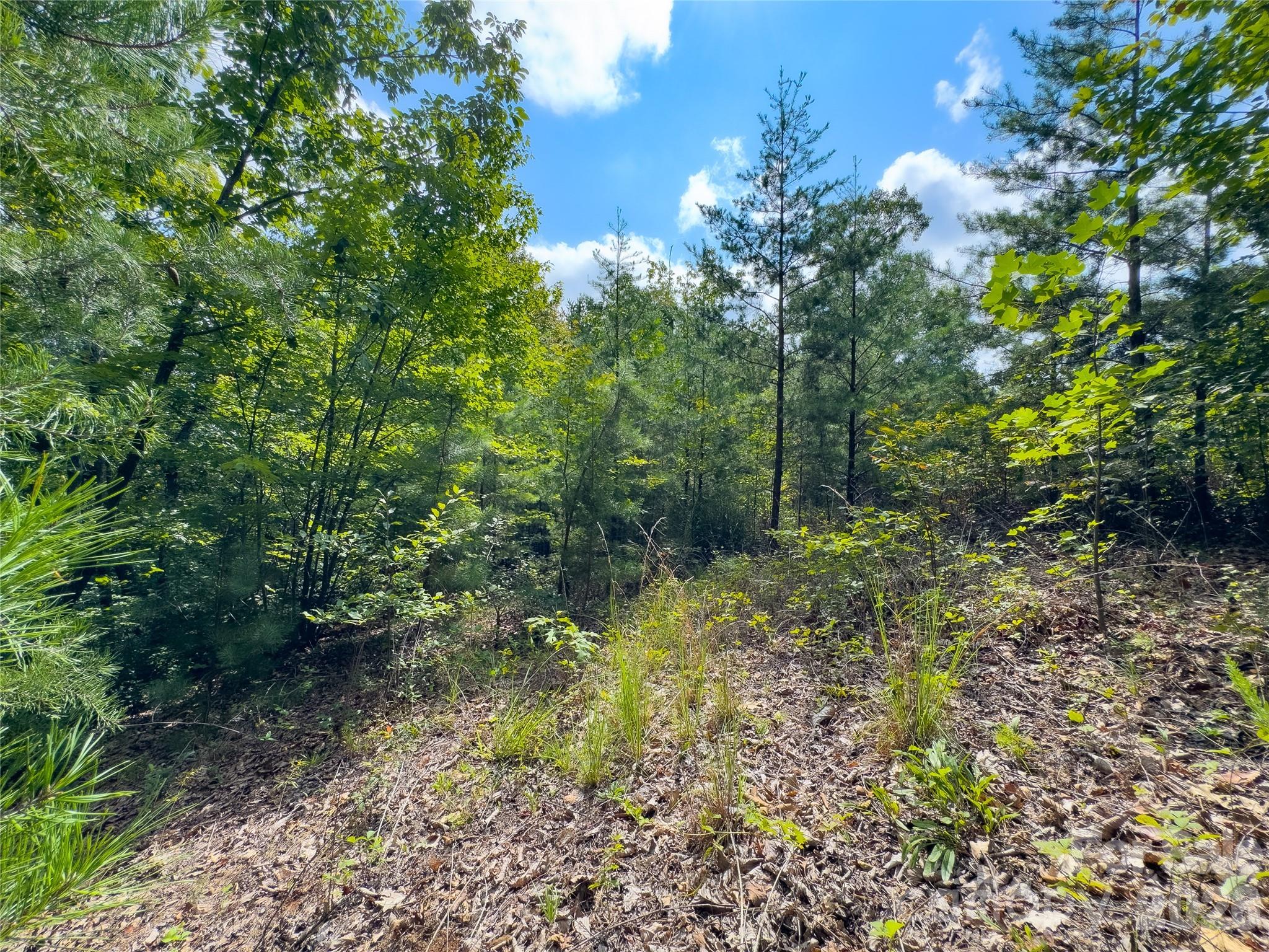 0 Boulder Ridge, Unit 5 Lake Lure, NC 28746 - Photo 9 of 10 Gallery Image 9