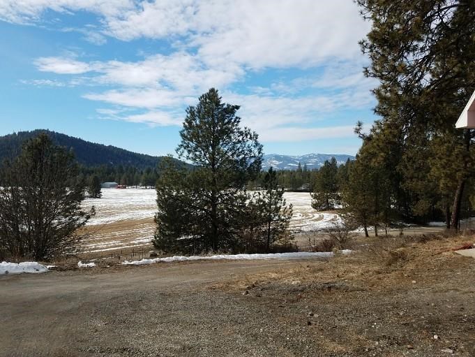 409 Old Dominion Road Colville, WA 99114 - Photo 3 of 20