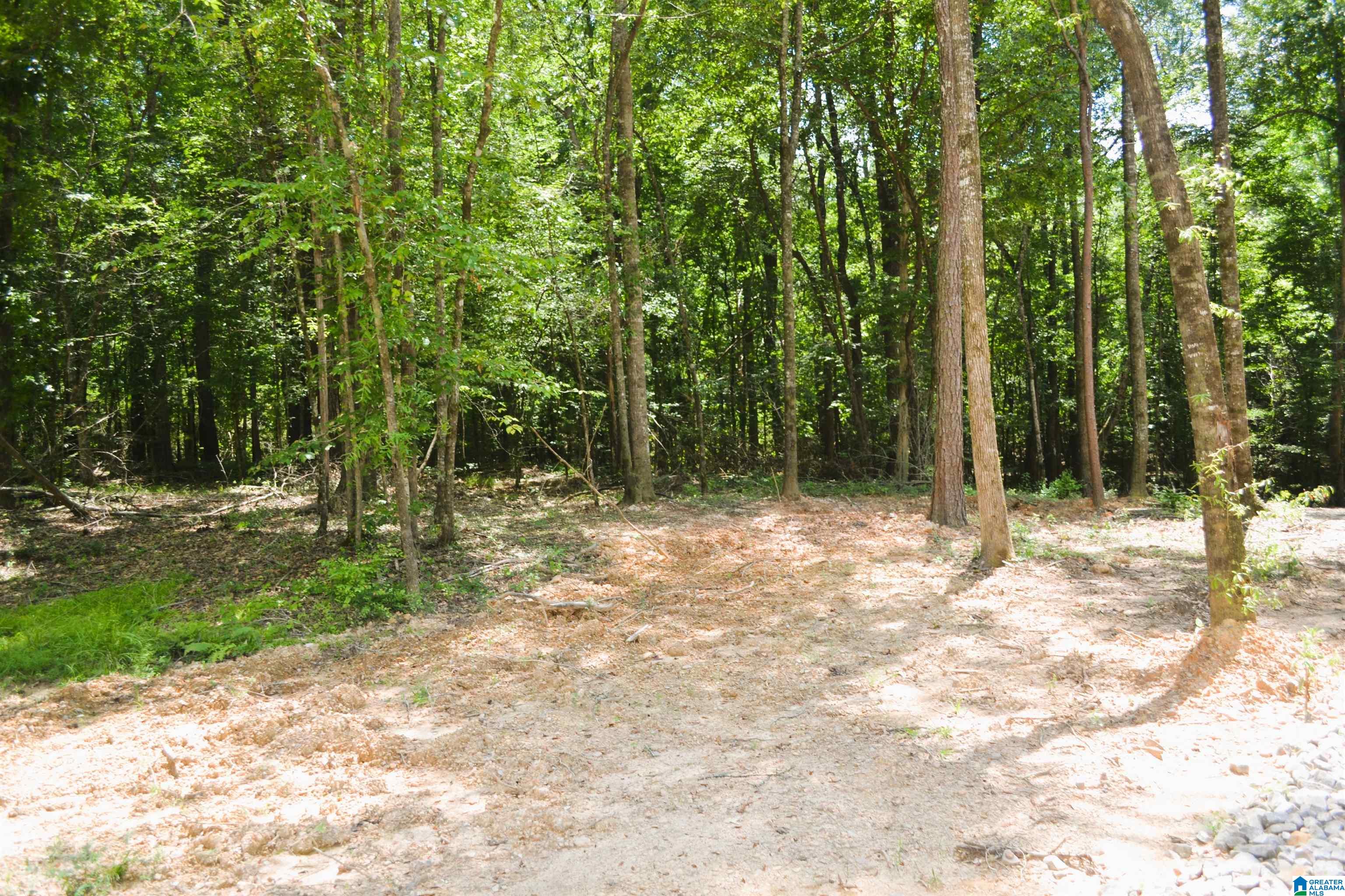 1279 Riverside Drive, Unit 44 Tuscaloosa, AL 35401 - Photo 2 of 26