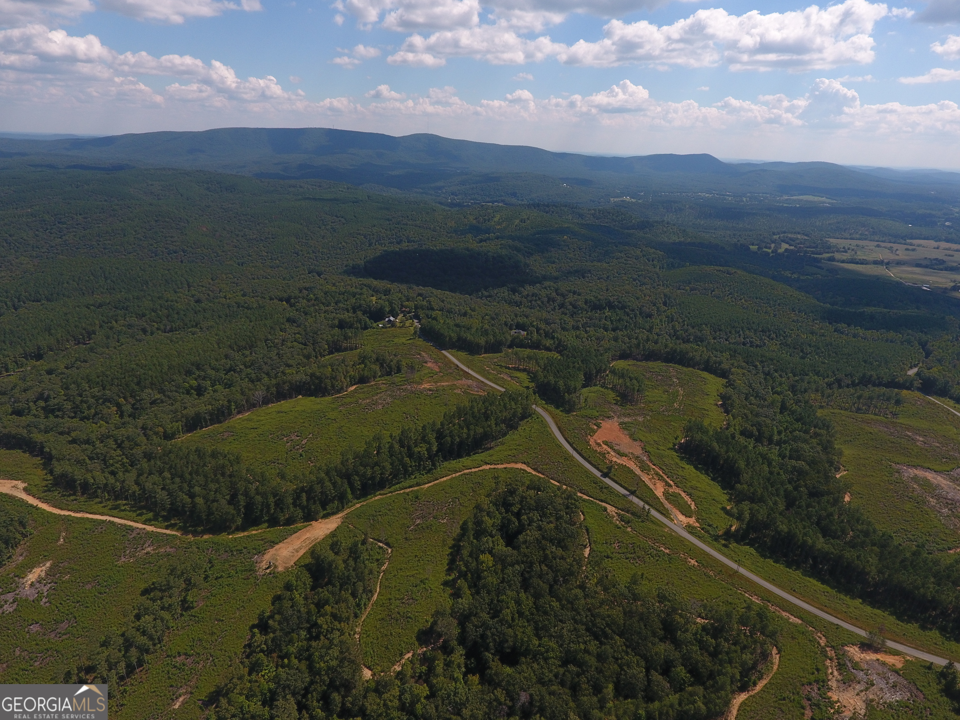 0 Johnson Mountain Road, Unit 7401H Fairmount, GA 30139 - Photo 17 of 36 a view of lake