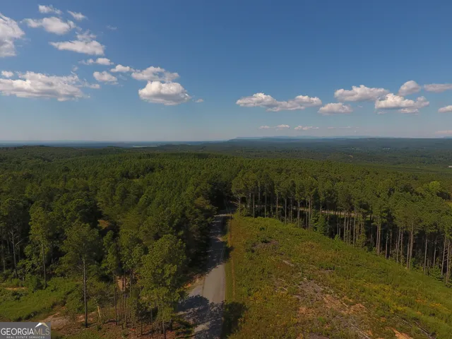 a view of a city with lots of trees