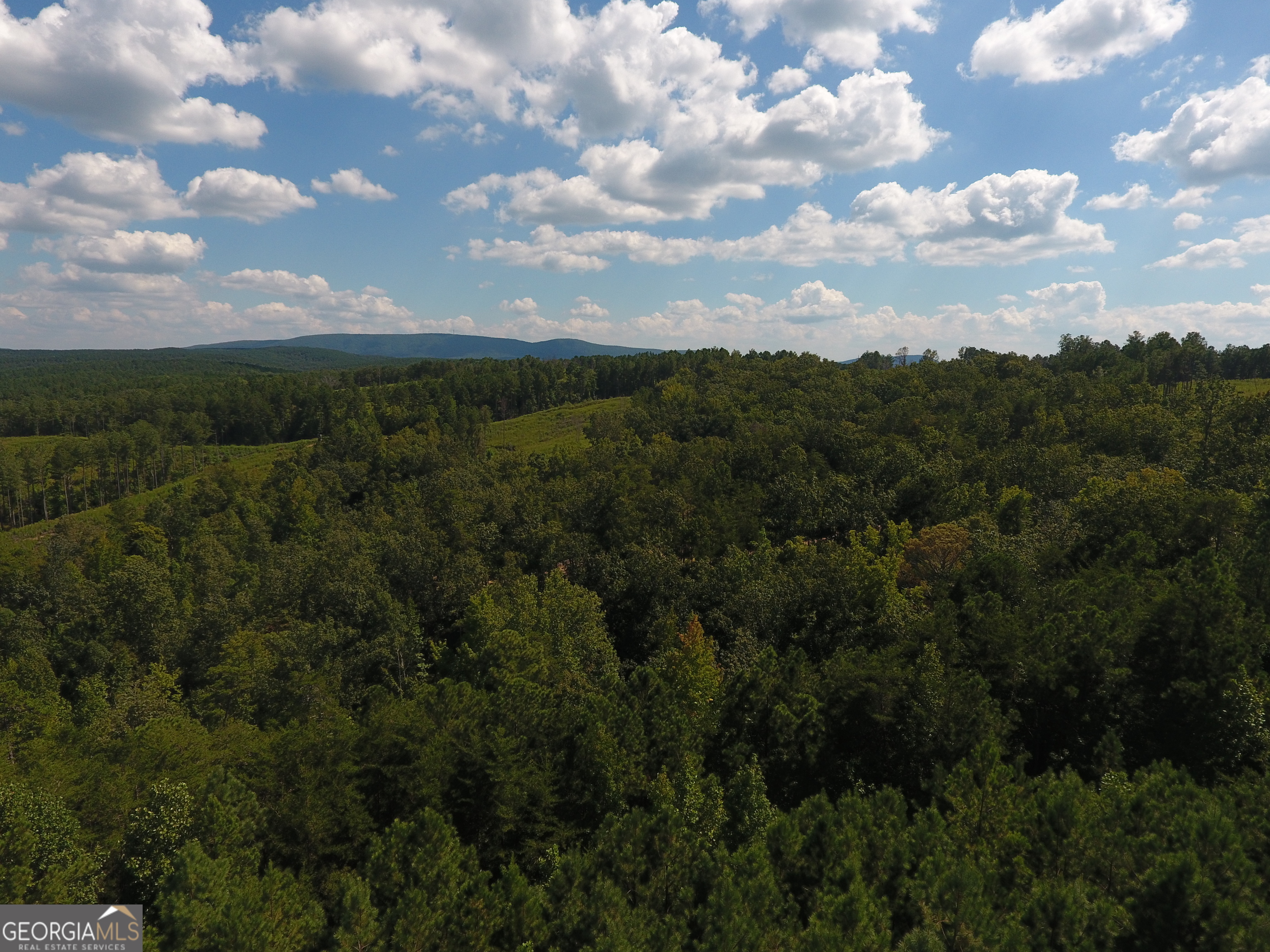 0 Johnson Mountain Road, Unit 7401H Fairmount, GA 30139 - Photo 9 of 36 a view of a city and mountains