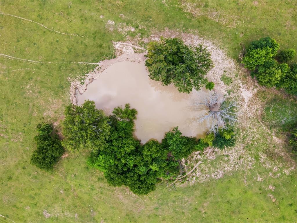 1663 County Road 1405 Bogata, TX 75417 - Photo 33 of 36