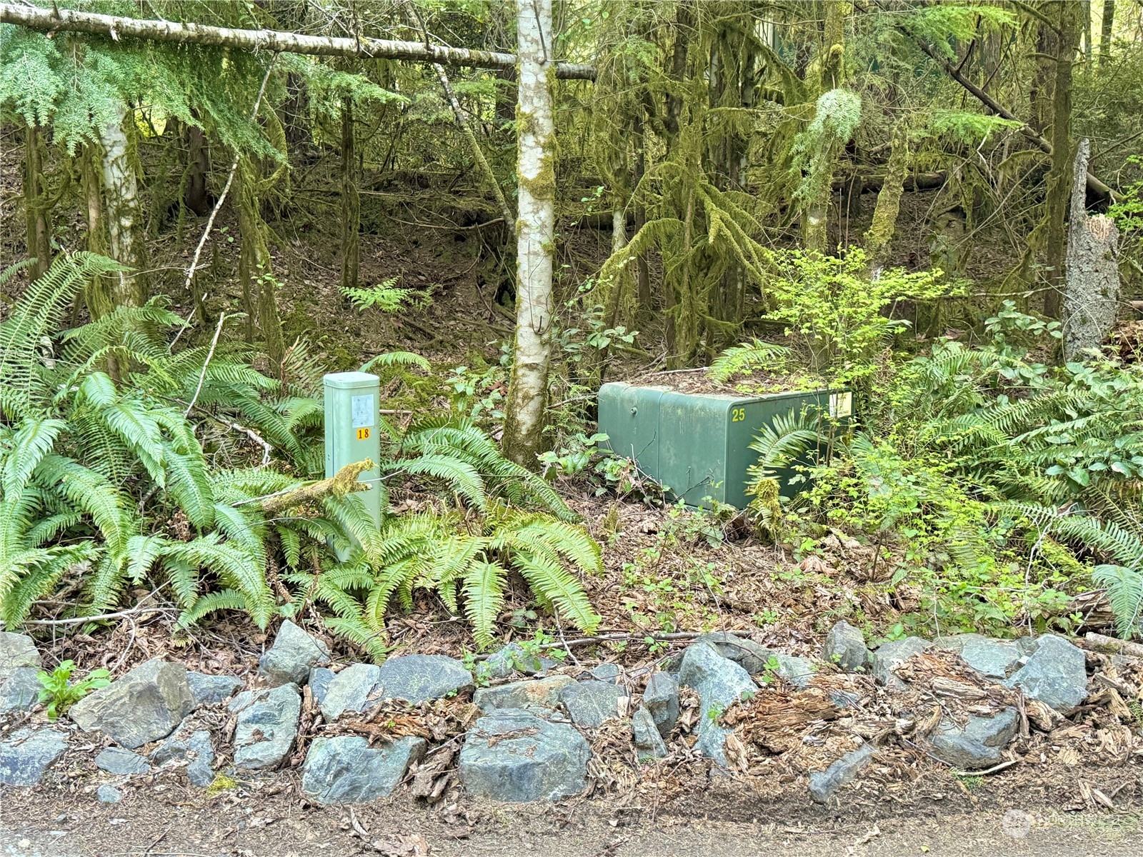 4500 Beauty Lake Road Southwest Port Orchard, WA 98367 - Photo 34 of 37 Gallery Image 34