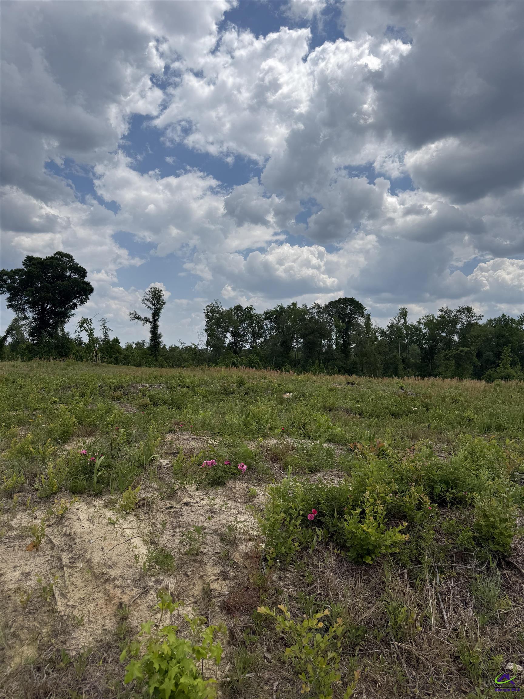 JD Williams Road Cadwell, GA 31009 - Photo 1 of 6