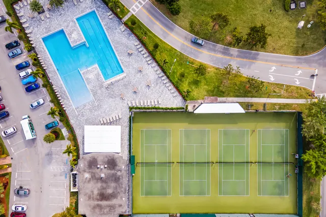 a view of a park with large trees