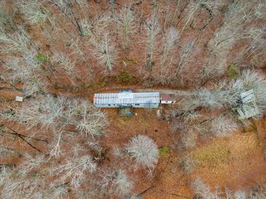 a view of a dry yard with trees