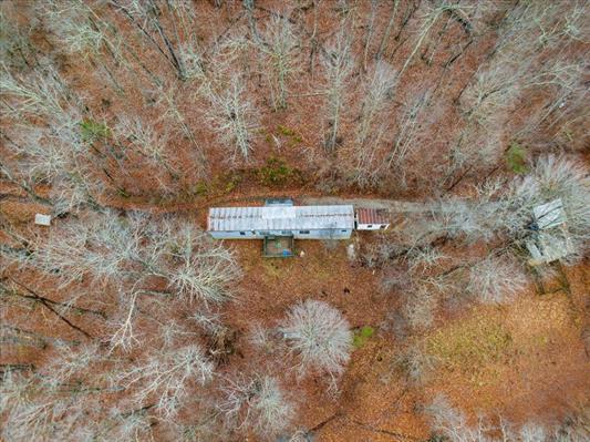 1154 Lusters Gate Road Christiansburg, VA 24073 - Photo 12 of 25 a view of a dry yard with trees